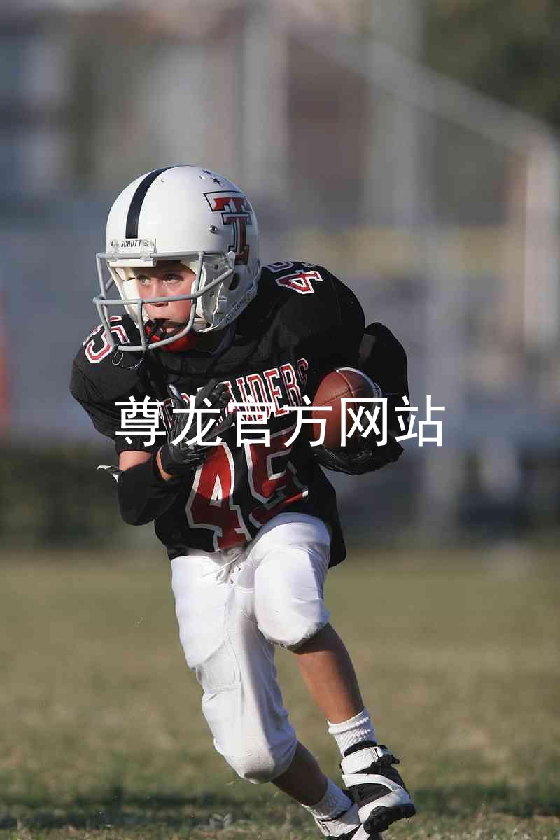 尊龙官方网站