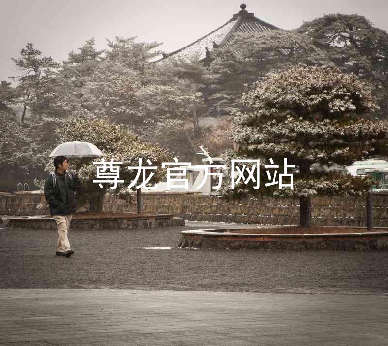 尊龙官方网站