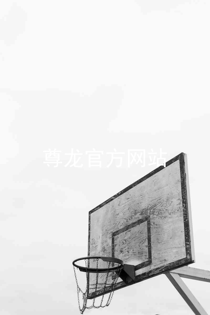 尊龙官方网站
