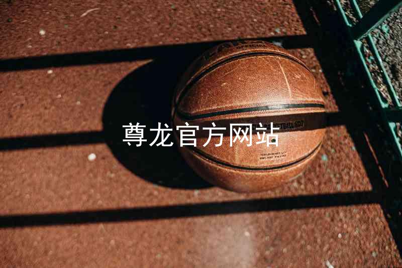 尊龙官方网站
