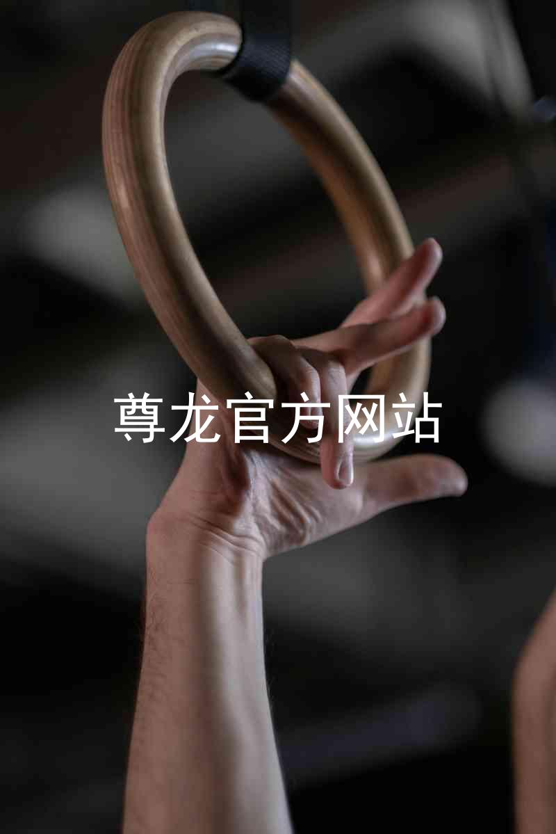 尊龙官方网站